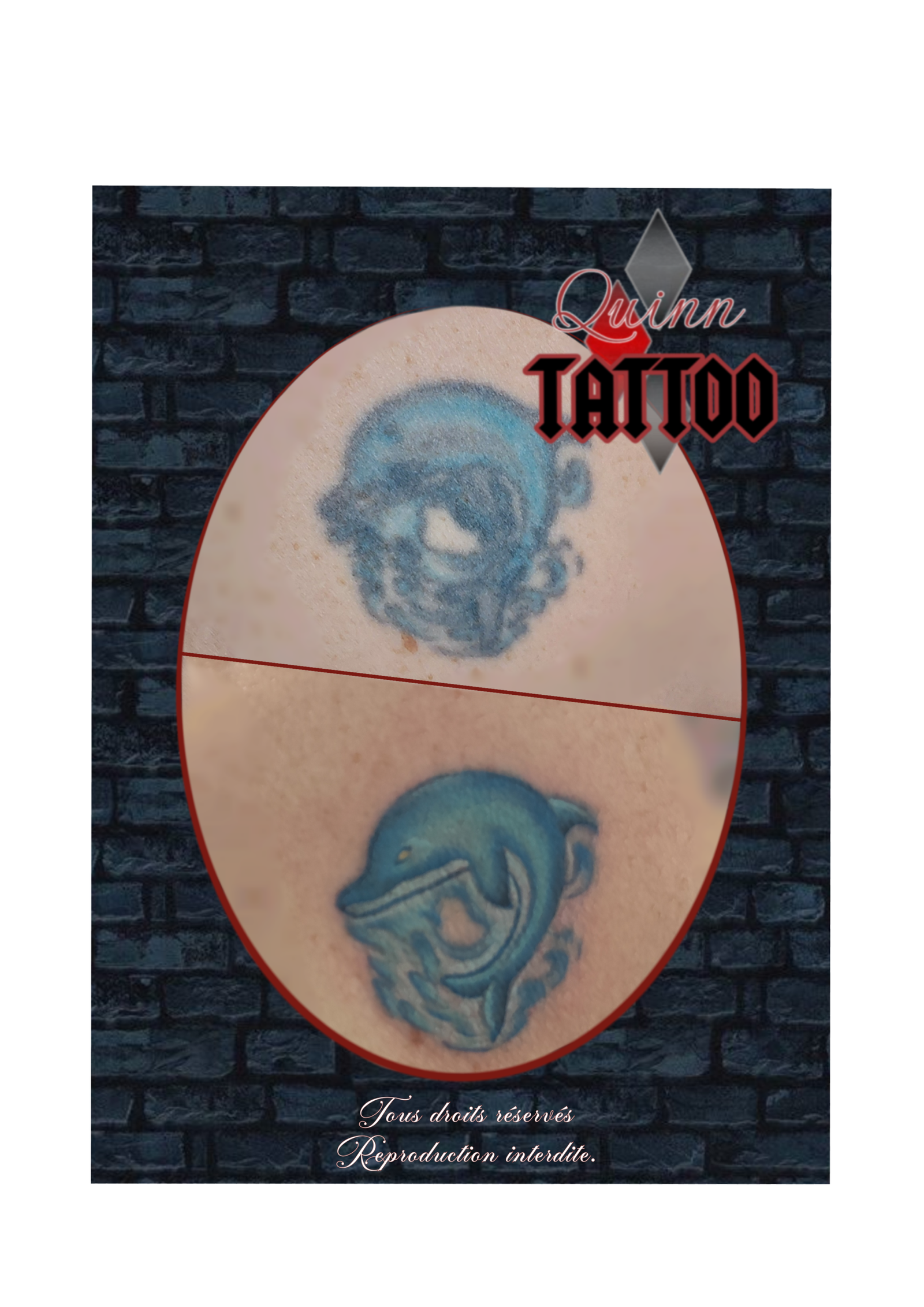 cover glow up dauphin couleur 